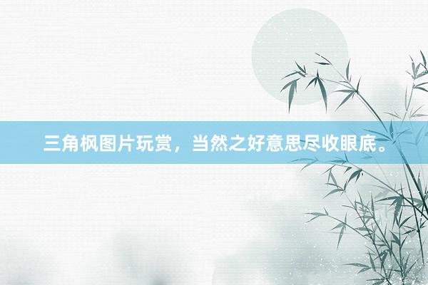 三角枫图片玩赏，当然之好意思尽收眼底。