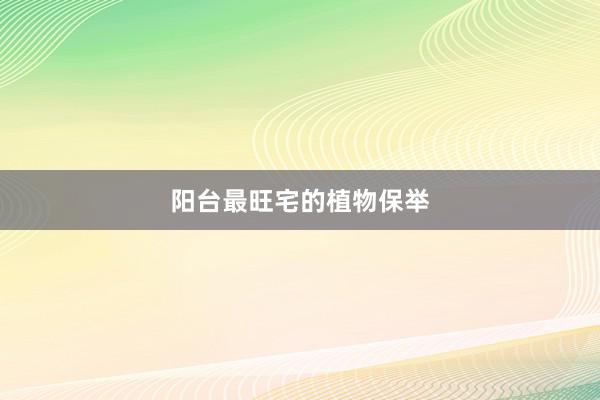 阳台最旺宅的植物保举