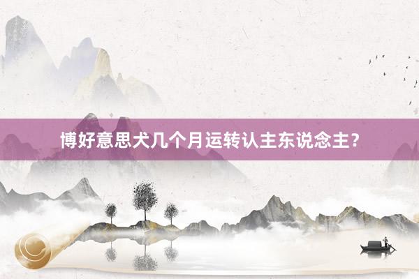博好意思犬几个月运转认主东说念主？