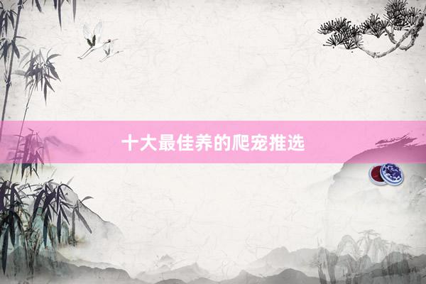 十大最佳养的爬宠推选