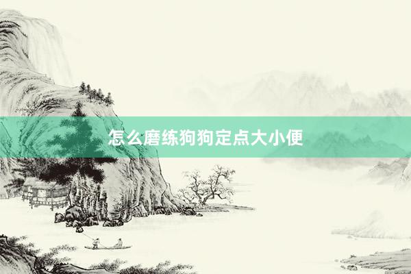 怎么磨练狗狗定点大小便
