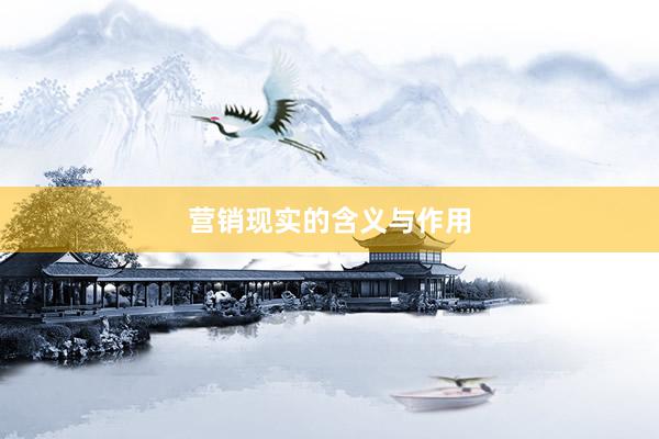 营销现实的含义与作用