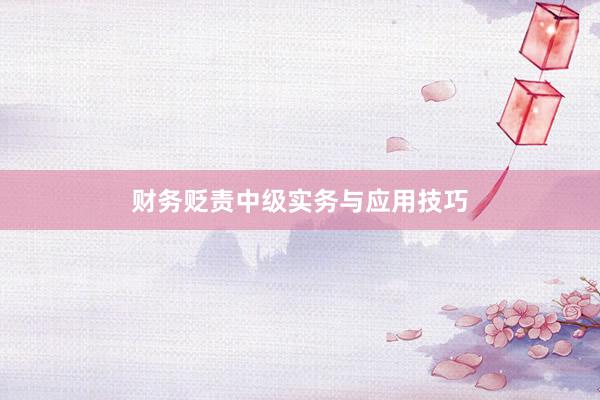 财务贬责中级实务与应用技巧